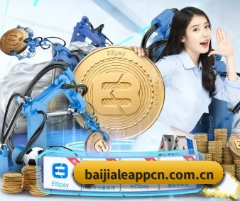 国际化进程（bailejia）